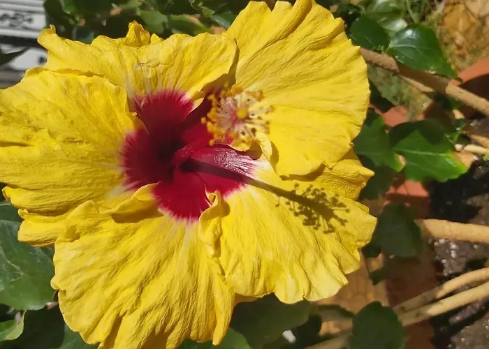 Apartamento Anna's House 1 Psakoudia